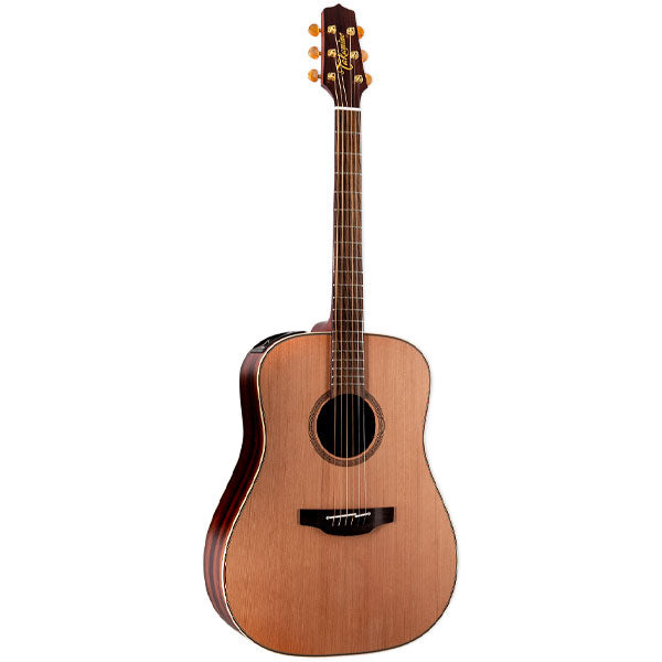 Takamine FN15 AR w/Semi-Hard Case - TAKFN15AR